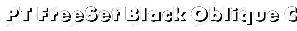 PT FreeSet Black Oblique Cyrillic字体转换